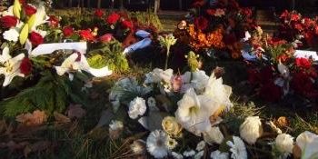 Blomster-morgen